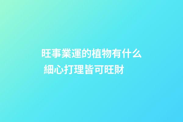 旺事業運的植物有什么 細心打理皆可旺財